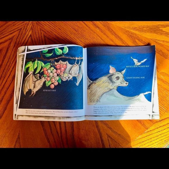 Bats 🦇 By Gail Gibbons - Picture 8 of 13